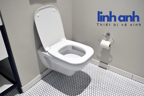 Bàn cầu một khối cao cấp