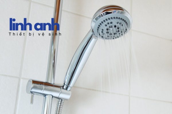 Sen cây bền bỉ theo thời gian