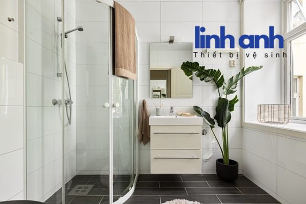 Sen tắm nóng lạnh và thông thường – Đâu là lựa chọn tối ưu ?